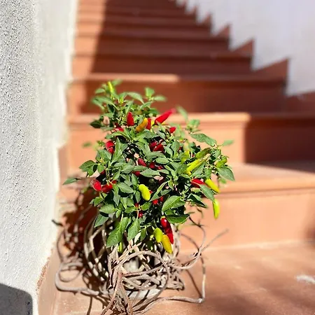 La Bicocca Di Annavi 4* Форио