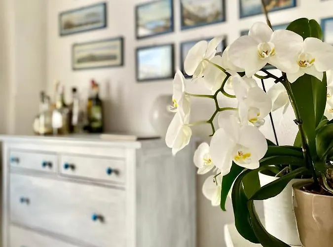 La Bicocca Di Annavi Отель типа 