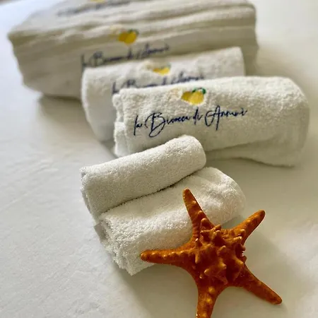 فندق مبيت وإفطار La Bicocca Di Annavi Forio di Ischia